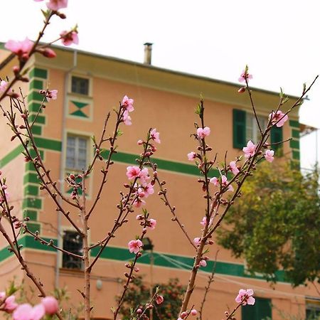 Appartamento Di Prestigio- Ca Da Lina - เดวามารีนา ภายนอก รูปภาพ