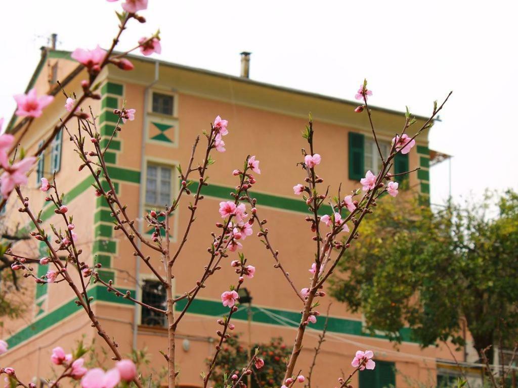 Appartamento Di Prestigio- Ca Da Lina - เดวามารีนา ภายนอก รูปภาพ